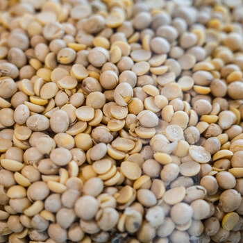 Eko soja, 100 g